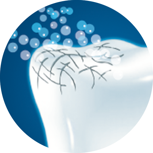 Azione di Biorepair®