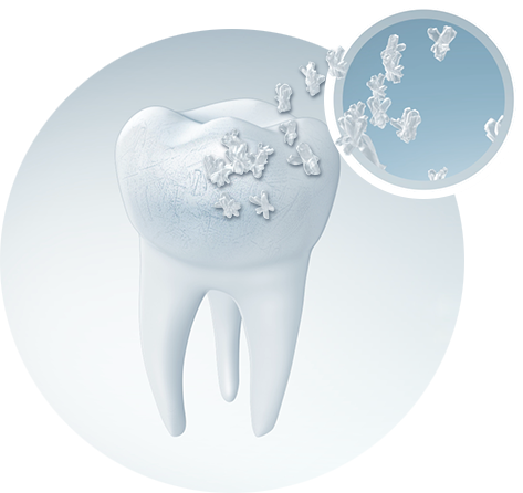 immagine del dente 