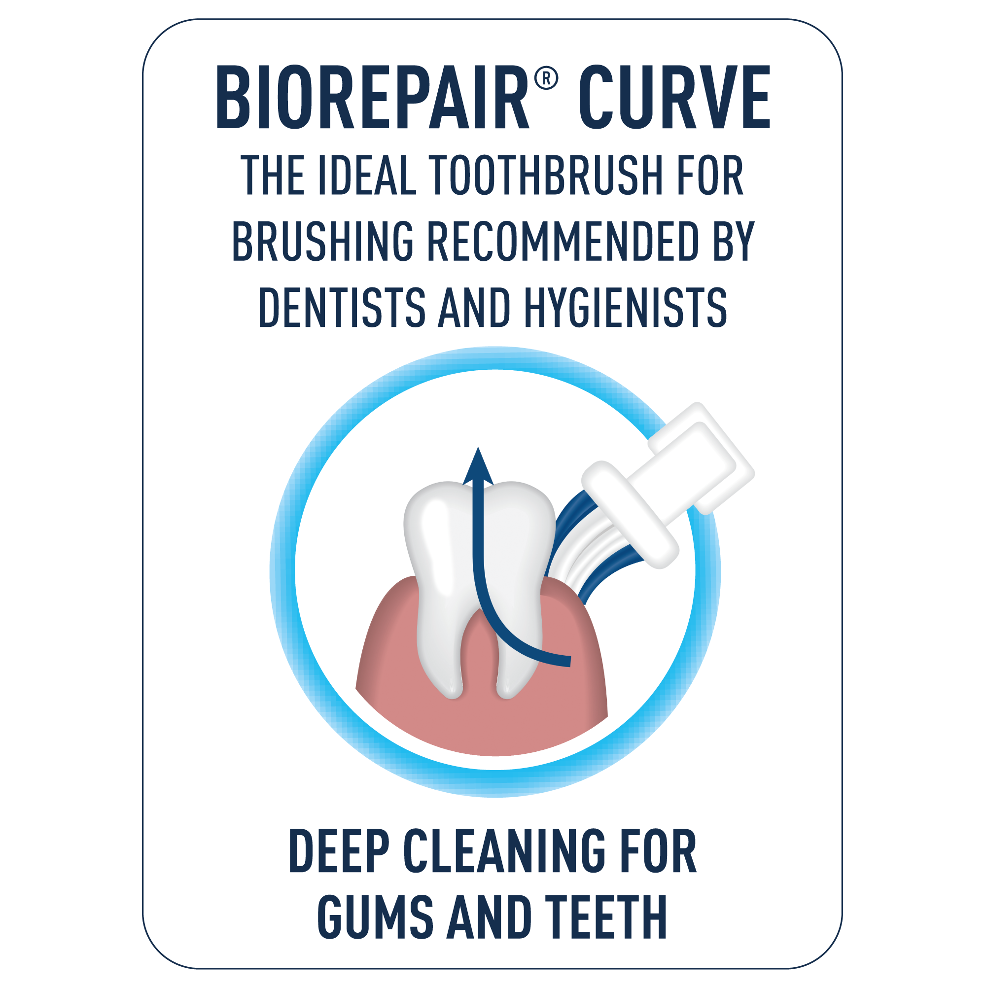 Biorepair CURVE for the deep cleaning of teeth and gums